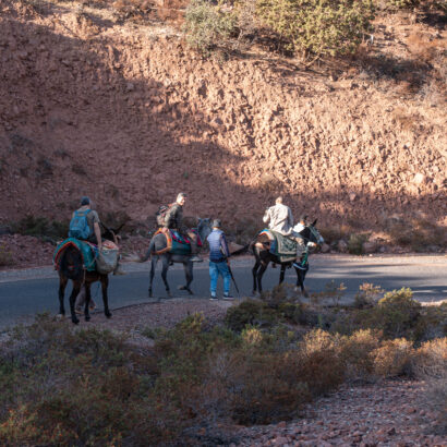 Chasseurs de lanatochasse rentrant à dos de mule après une chasse au sanglier dans les montagnes de Marrakech.