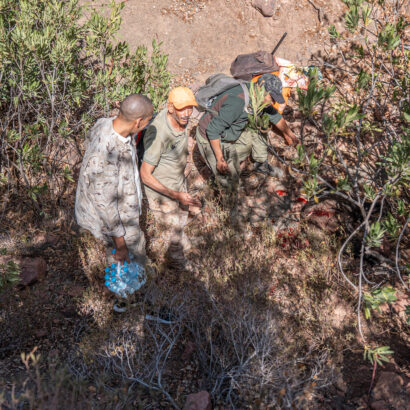 Chasseurs de lanatochasse se réunissant après une chasse réussie au sanglier à Marrakech, le 4 novembre 2025.