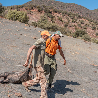 Chasseurs de lanatochasse posant après une chasse au sanglier près de {LIEU}.